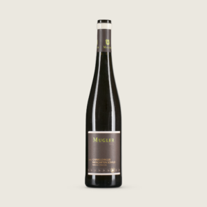 2018 Gimmeldinger Biengarten Riesling „Schild“, trocken